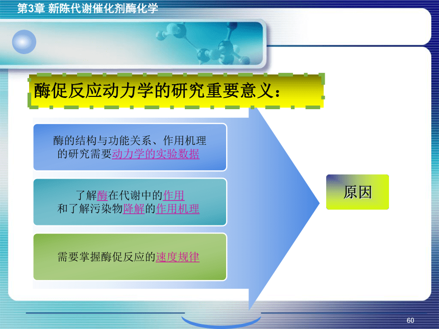 3.4酶促反应的动力学 课件(共41张PPT)- 《环境生物化学》同步教学（机工版·2020）