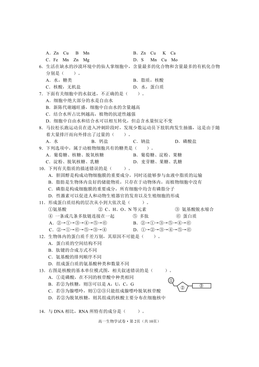 云南省丽江市2020-2021学年高一上学期期末教学质量监测生物试题 Word版含答案