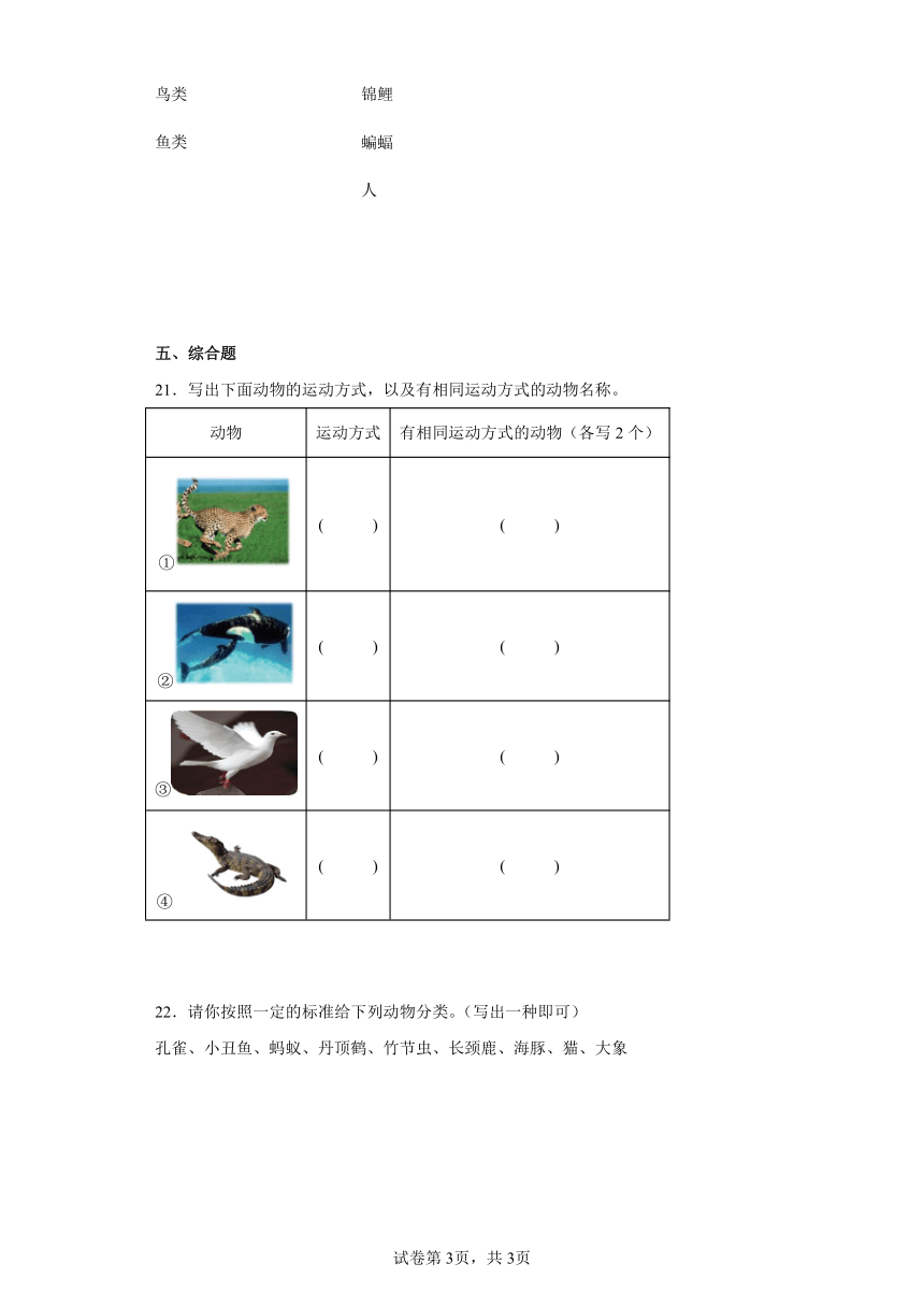 苏教版（2017秋） 四年级上册1.1给动物分类（课时练习）（含答案）