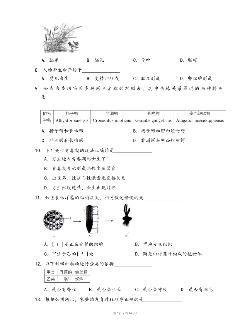 济南版八年级上册生物单元测试卷第四单元物种的延续(word版，含答案解析）