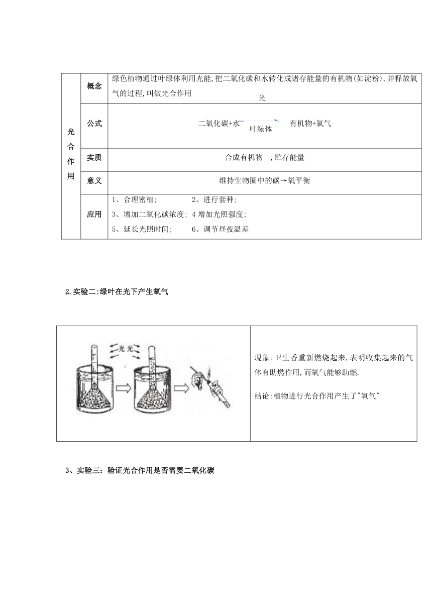 专题05 绿色植物的蒸腾作用、光合作用和呼吸作用作用（知识）-备战中考生物一轮复习考点（全国通用）