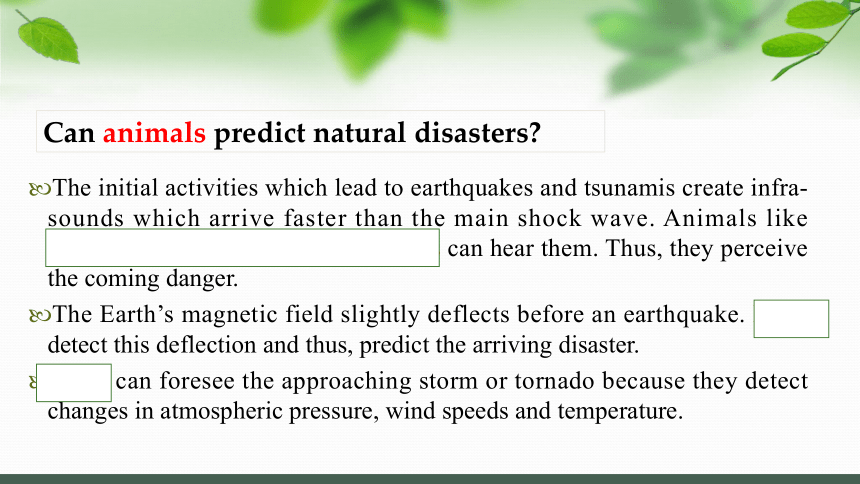 牛津译林版（2019）  必修第三册  Unit 2 Natural Disasters 单元复习课件(27张ppt)