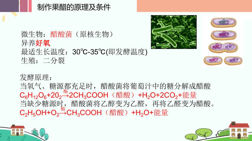 1.1传统发酵技术的应用（第1课时）课件（23张ppt）高二生物下学期（人教版2019选择性必修3）