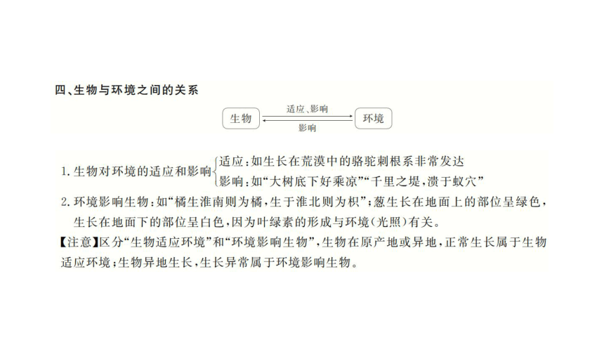 2023年中考生物复习专题★★专题二  生物与环境课件(共45张PPT)