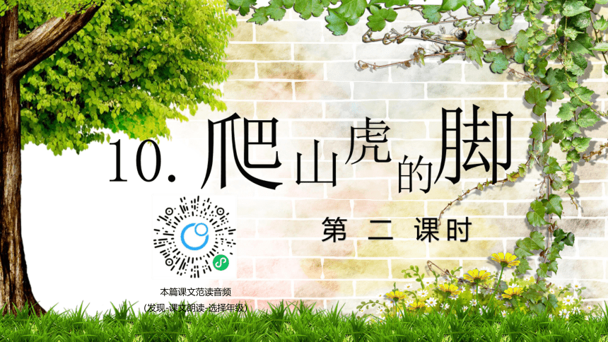 部编版语文四年级上册-10.爬山虎的脚 第2课时【优质课件】