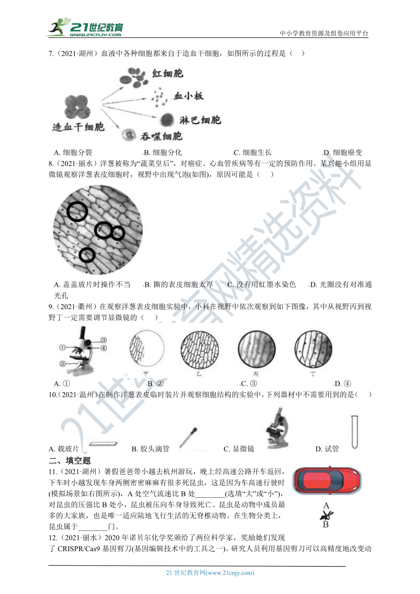 2021年科学中考真题分类汇编04：生命系统的结构层次（含解析）