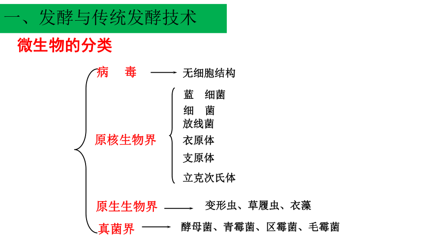 2020-2021学年人教版（2019）高二生物选择性必修三1.1 传统发酵技术的应用 课件 （共31张ppt）