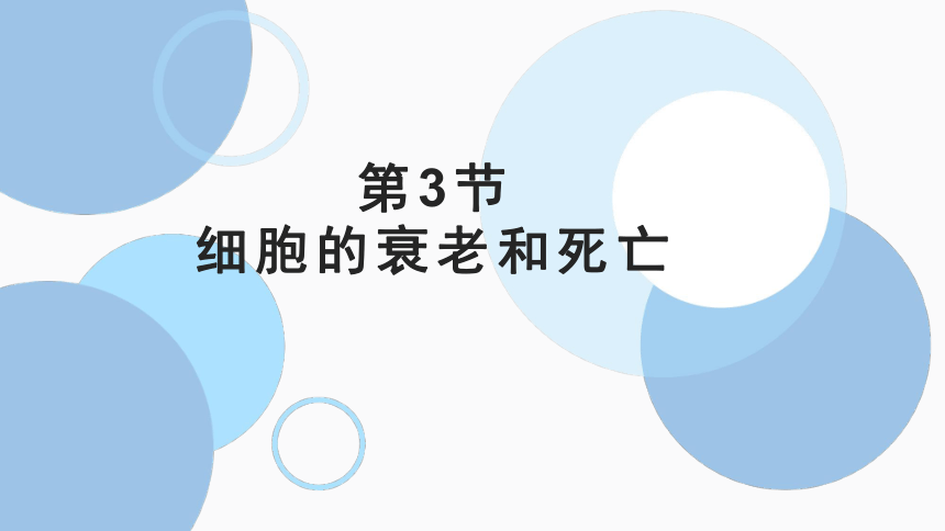 生物人教版（2019）必修1 6.3细胞的衰老和死亡（共27张ppt)