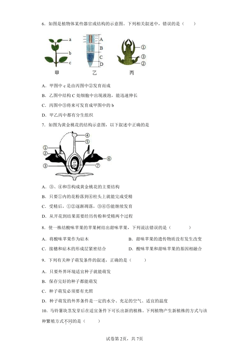 济南版生物八年级上册第四单元第一章 绿色开花植物的一生 单元综合训练试题（Word版 有答案）