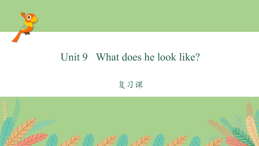 人教版英语七年级下册Unit 9 What does he look like?复习课件(共47张PPT)