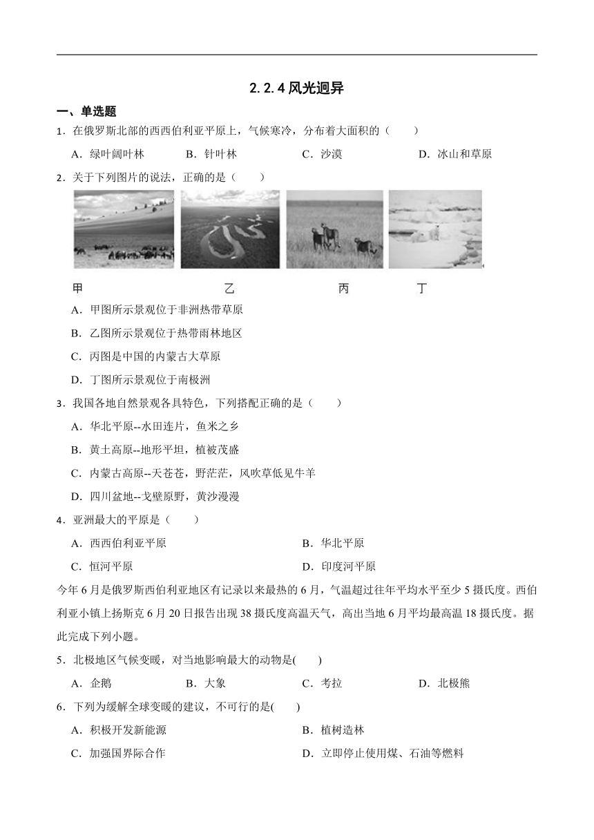 2.2.4风光迥异  同步练习（含答案解析）