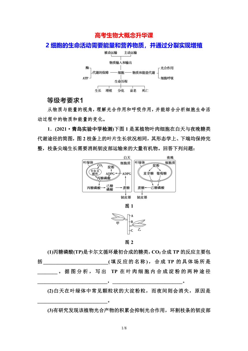 【二轮学案】高考生物大概念升华课2　细胞的生命活动需要能量和营养物质，并通过分裂实现增殖（含答案）