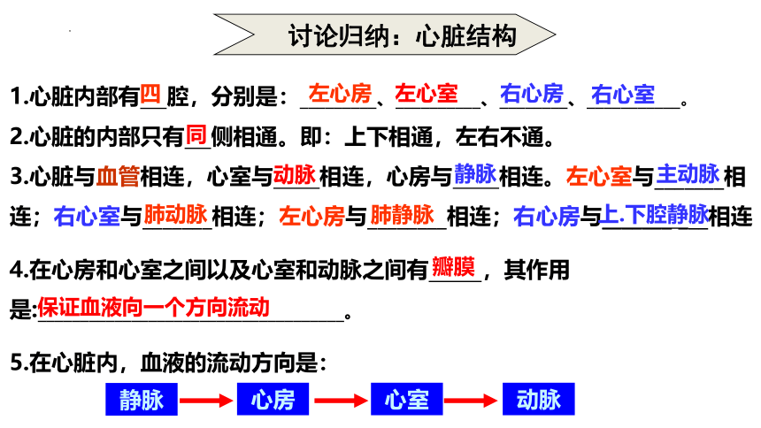 3.3.3 物质运输的途径课件(共42张PPT)2022-2023学年济南版生物七年级下册