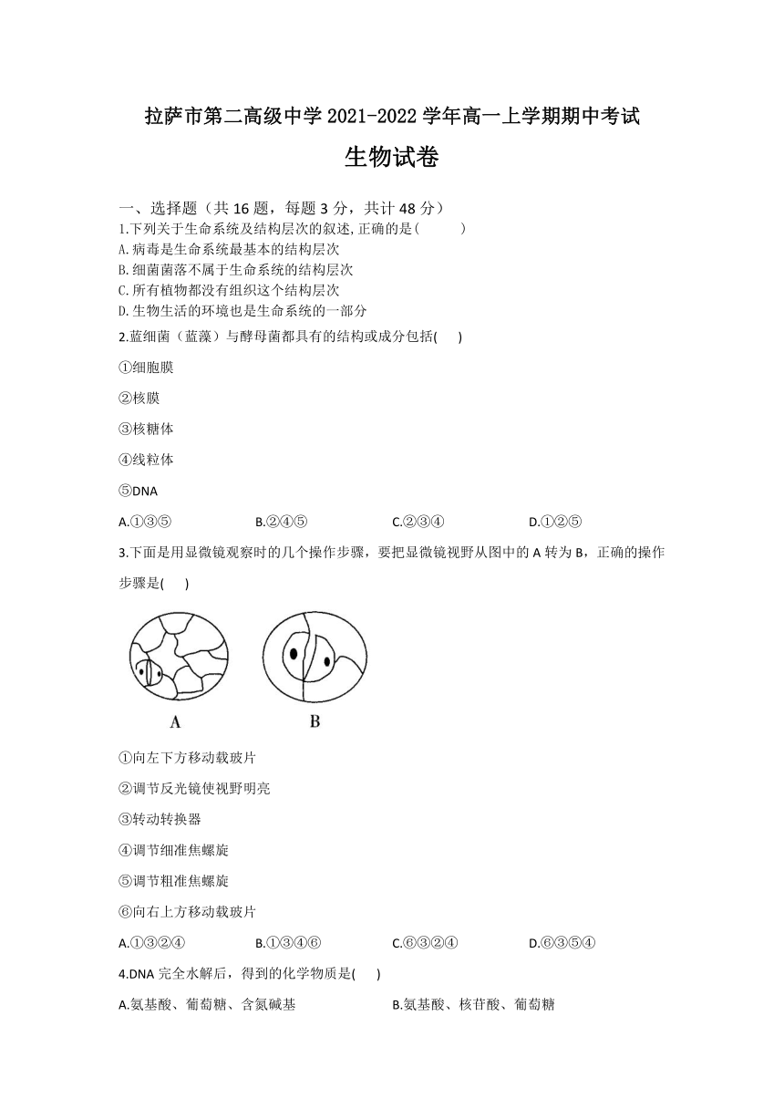 西藏自治区拉萨市第二高级中学2021-2022学年高一上学期期中考试生物试卷（Word版含答案）