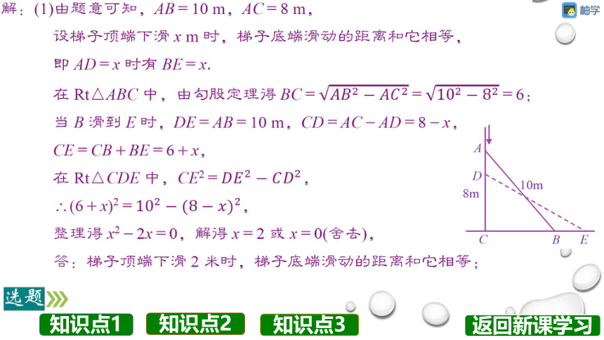 【分层教学方案】第17课时 应用一元二次方程 课件