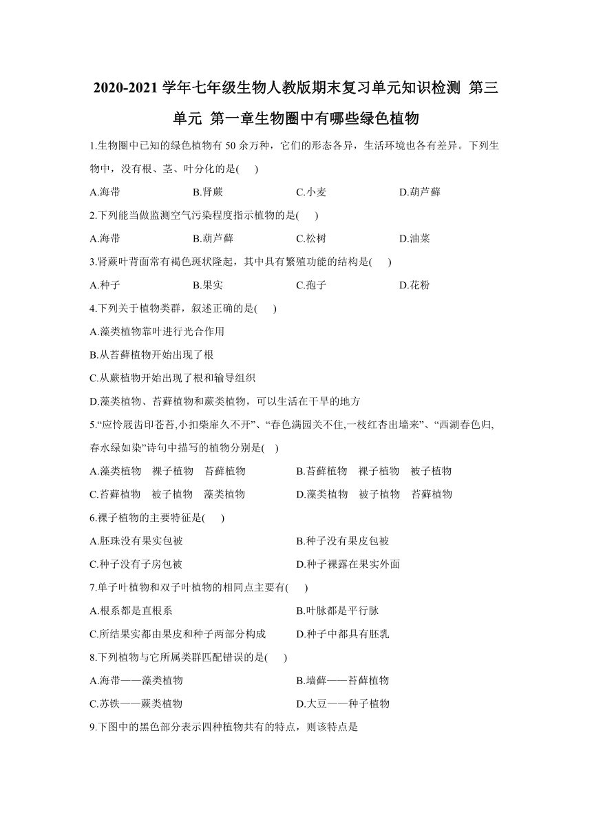 2020-2021学年七年级生物人教版（上） 第三单元 第一章生物圈中有哪些绿色植物期末复习单元知识检测（word版含答案））