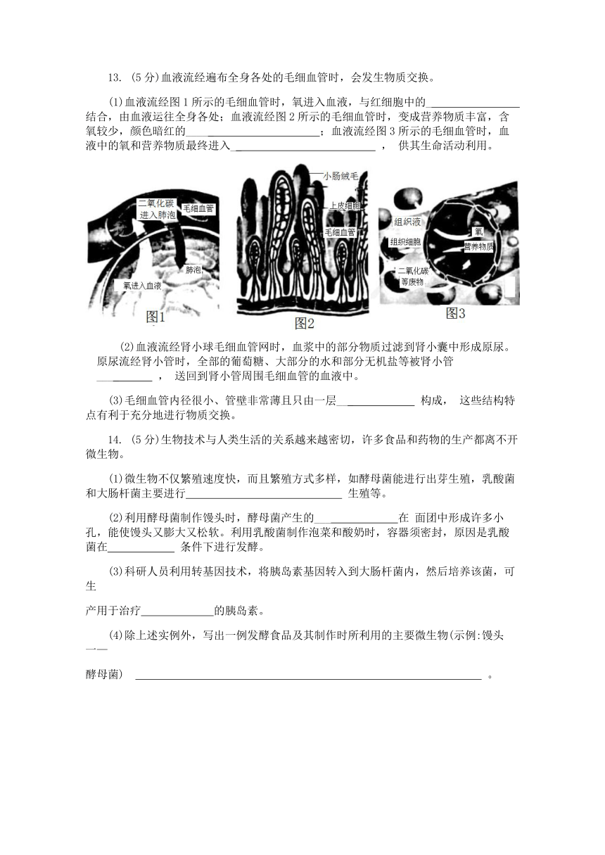 2021年安徽省生物中考真题（word版含解析）