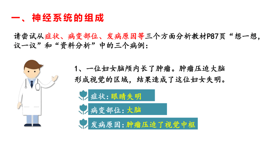 4.6.2神经系统的组成课件 (共28张PPT+内嵌视频1个)人教版生物七年级下册