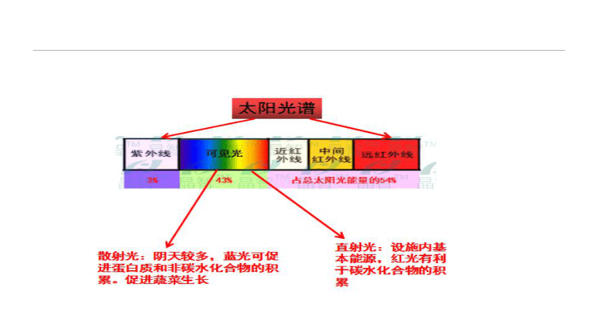 2.2.3设施环境的调控—光环境特点与调控 课件(共18张PPT)-《蔬菜生产技术》同步教学（中国农业出版社）