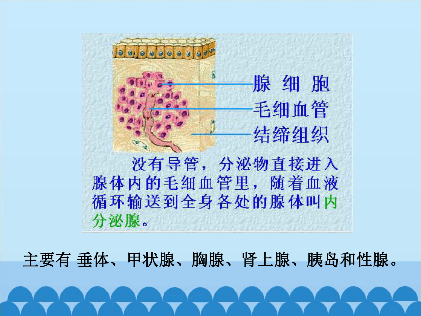 济南版生物七年级下册 3.5.1人体的激素调节课件(共20张PPT)