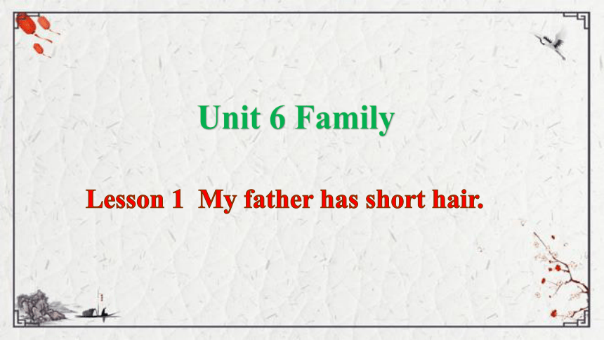 Unit 6 Family Lesson 1  My father has short hair课件（41张PPT)