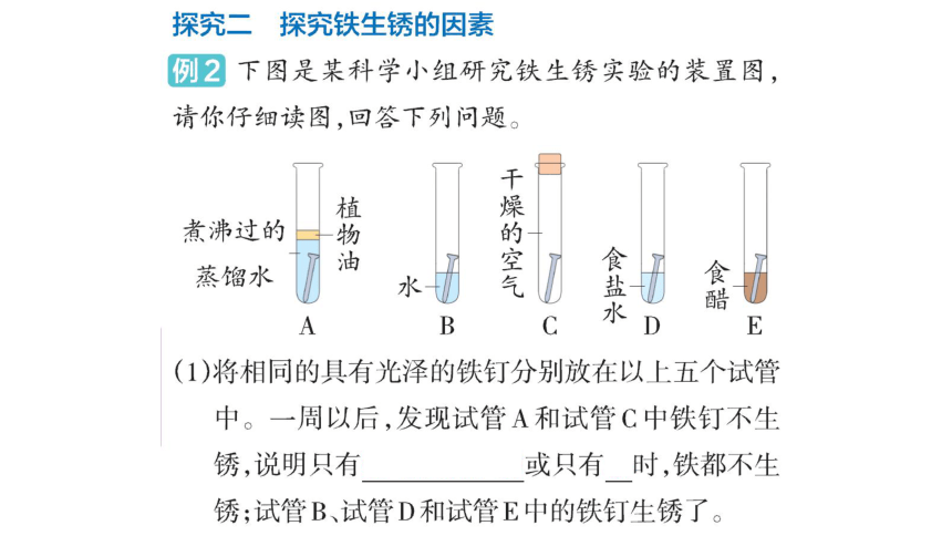 大象版六年级科学下册 第3单元实验探究(含练习)课件(共12张PPT)