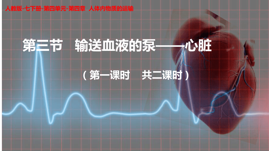 （人教版七下）4.4.3 输送血液的泵心脏（第一课时）七年级生物课件（共18张PPT）