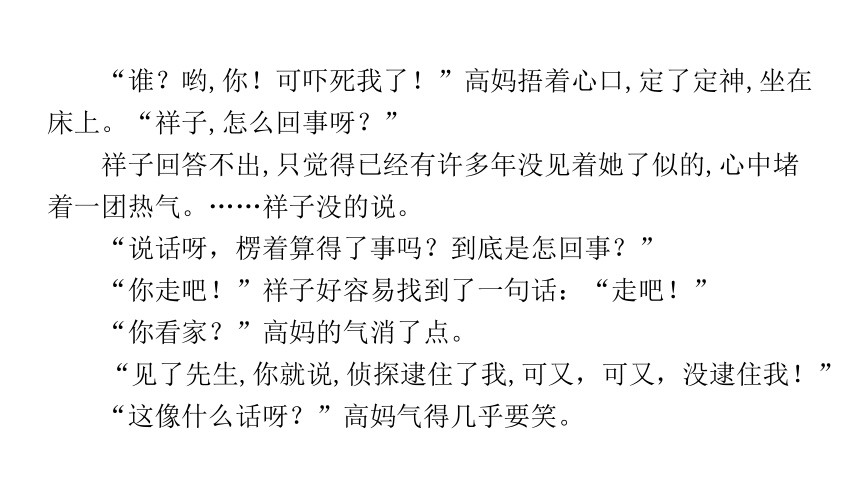 冲刺训练《骆驼祥子》 讲练课件—广东省2021届中考语文分类复习（13张ppt）