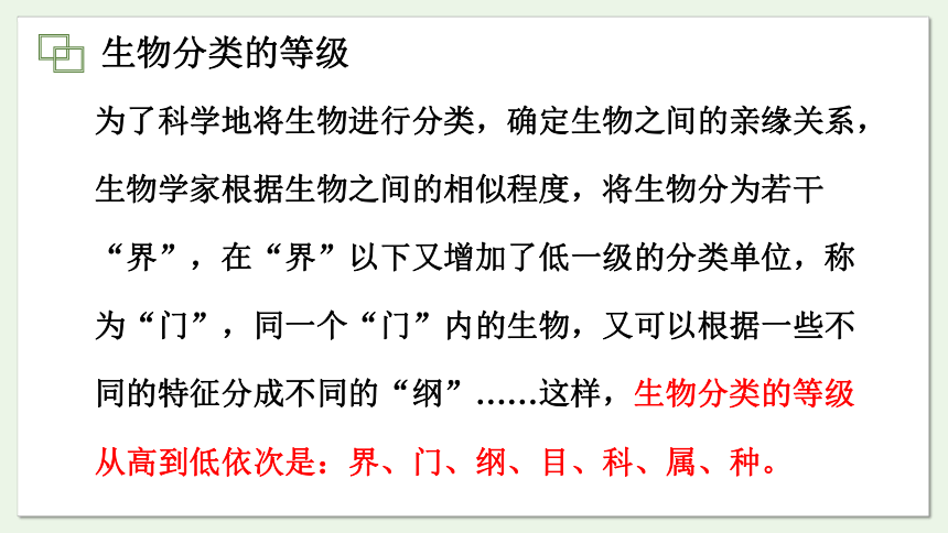 5.14.4 生物的分类课件(共19张PPT)2023-2024学年初中生物苏教版八年级上册