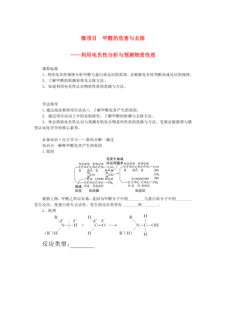 新教材2023版高中化学微项目1甲醛的危害与去除__利用电负性分析与预测物质性质学案(含答案)鲁科版选择性必修2