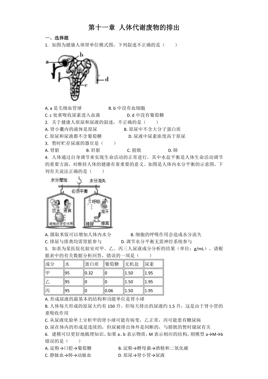 生物北师大版七年级下册 第十一章 人体代谢废物的排出 章节习题（word版含解析）