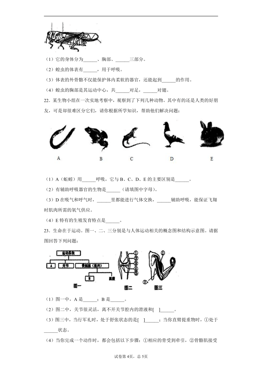 河南省濮阳市濮阳县2020-2021学年八年级上学期期中生物试题（word版 含答案）