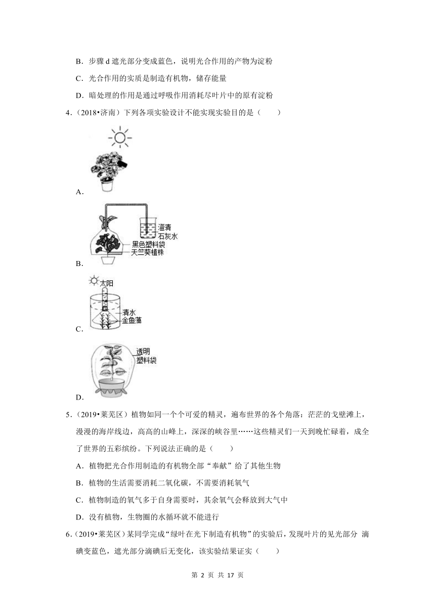 五年山东中考生物真题分类汇编---植物的三大生理作用（含解析）