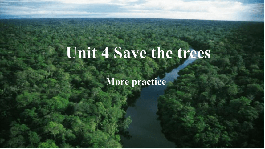 Unit 4 Save the trees More practice 课件(共24张PPT)
