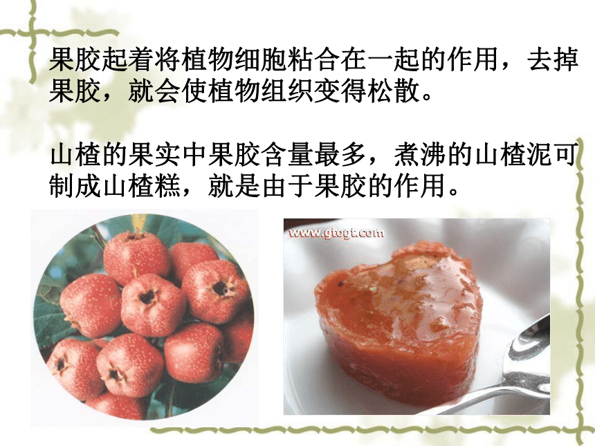 高中生物人教版选修1-4.1果胶酶在果汁生产中的应用课件（34张ppt）