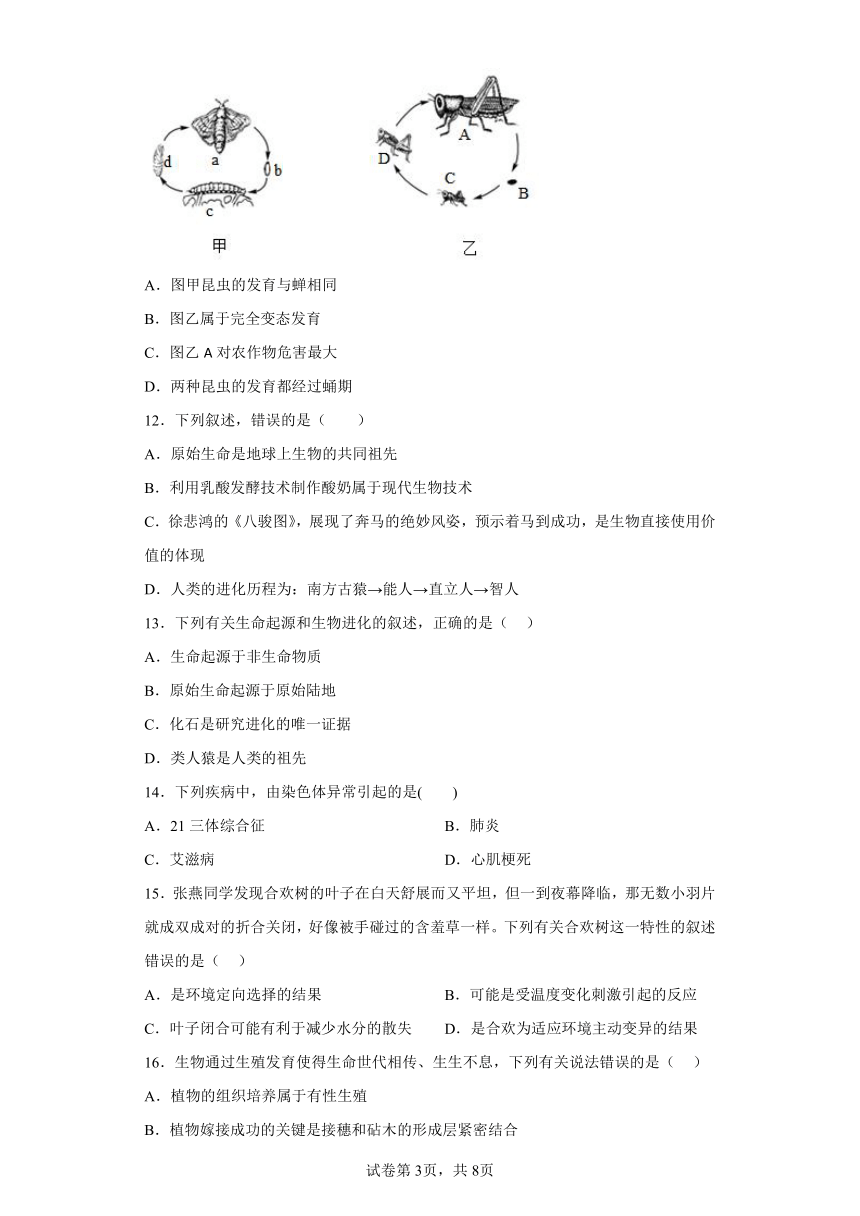 鲁教版生物八年级下册期末检测夯实基础强化训练试题3（含解析）