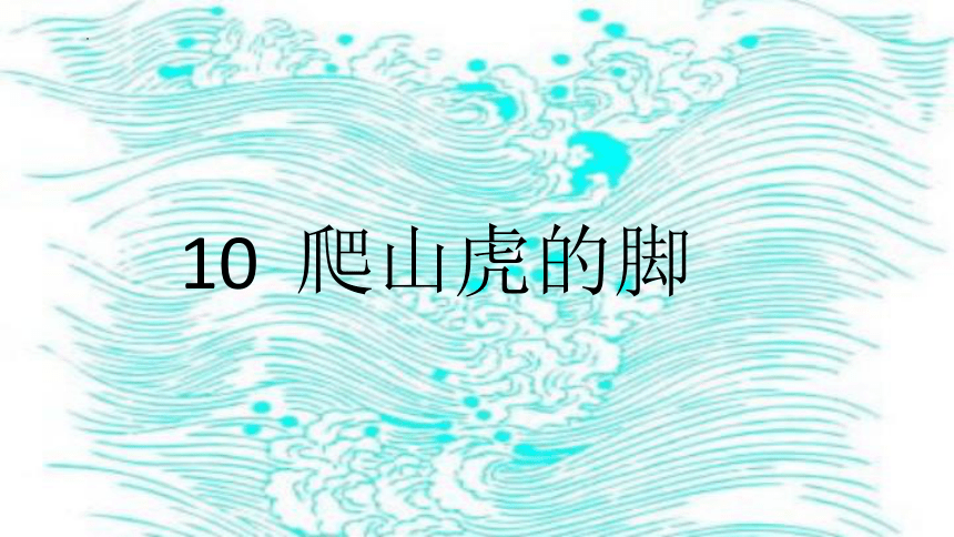 10 爬山虎的脚  课件 (共26张PPT)