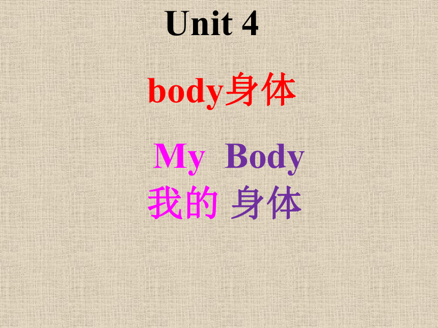 Unit 4 My body 课件（共33张PPT）