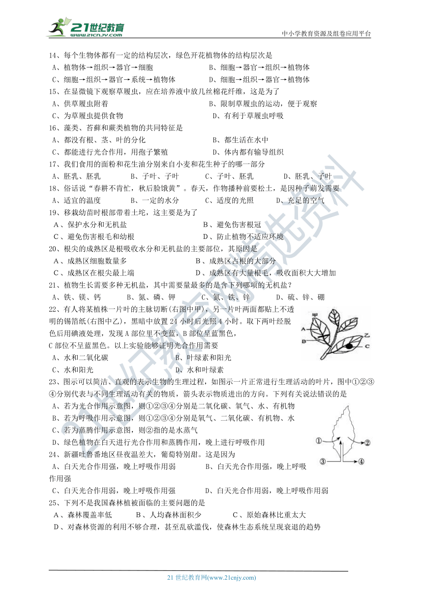 第三单元第一章生物圈中有哪些绿色植物 单元测试题（含答案）