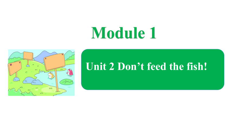 Module 1 Unit 2 Don’t feed the fish课件（17张PPT）