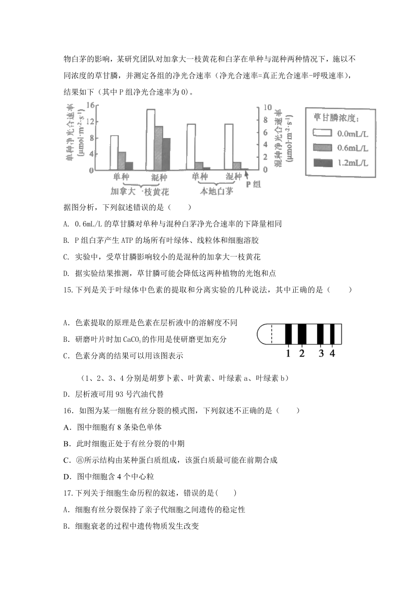 福建省莆田第二十五中学2020-2021学年高一下学期期中考试生物试题 Word版含答案