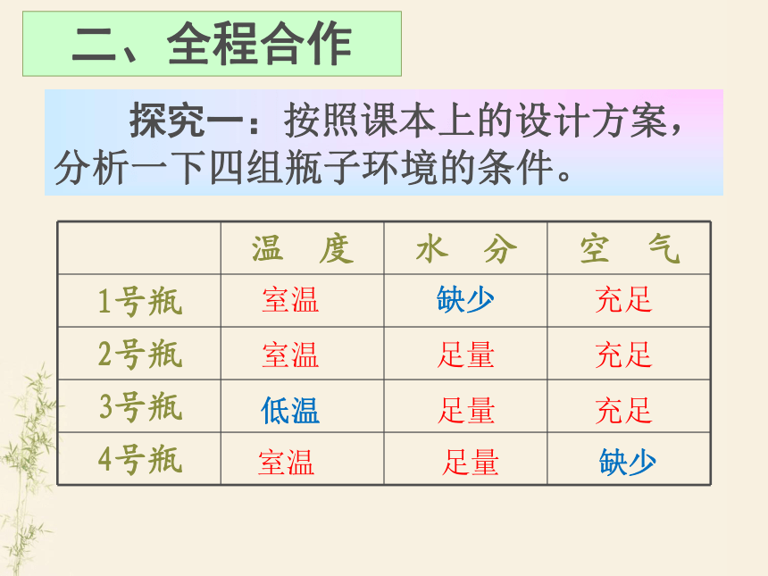 3.2.1种子的萌发课件(共23张PPT)人教版七年级生物