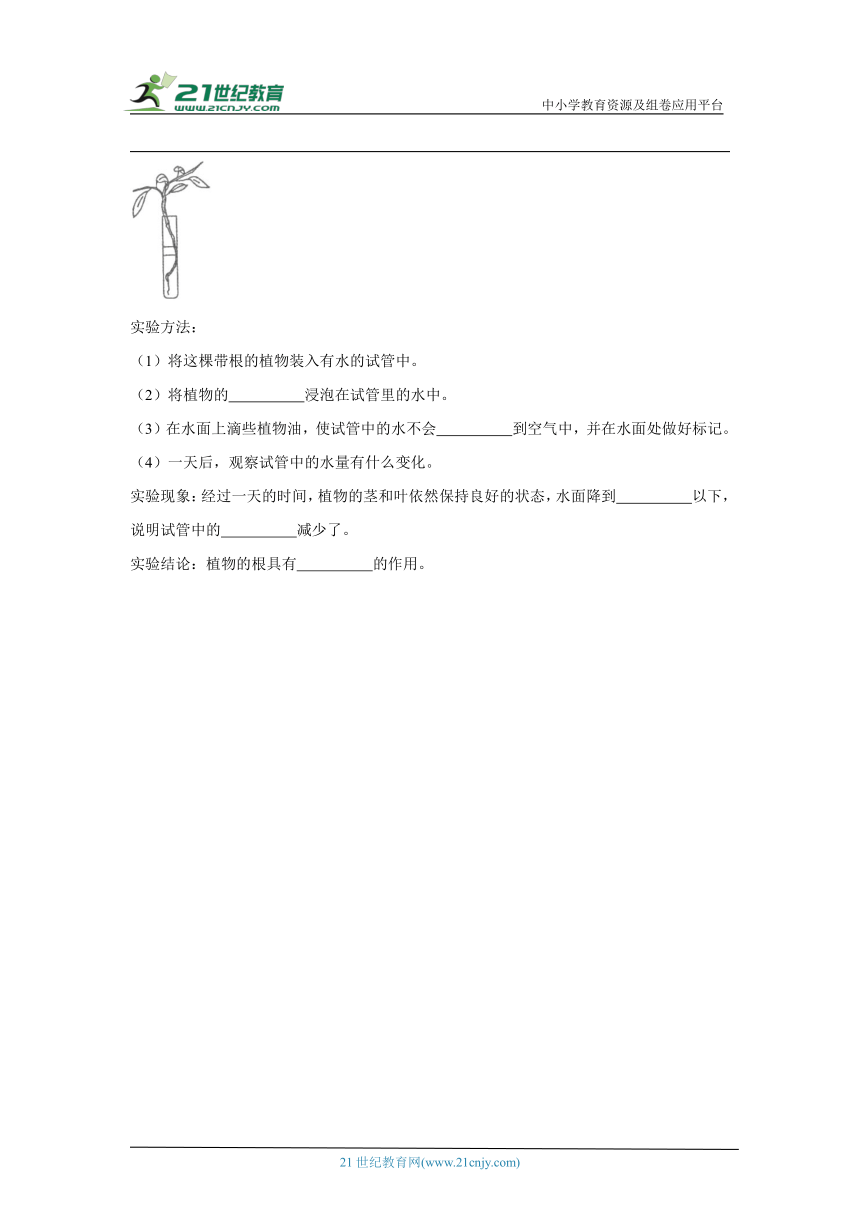 教科版（2017秋）四年级下册科学期中综合练习（1-2单元）（含答案）