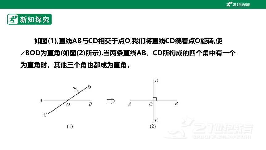 5.1.2  垂线 课件（共19张PPT）