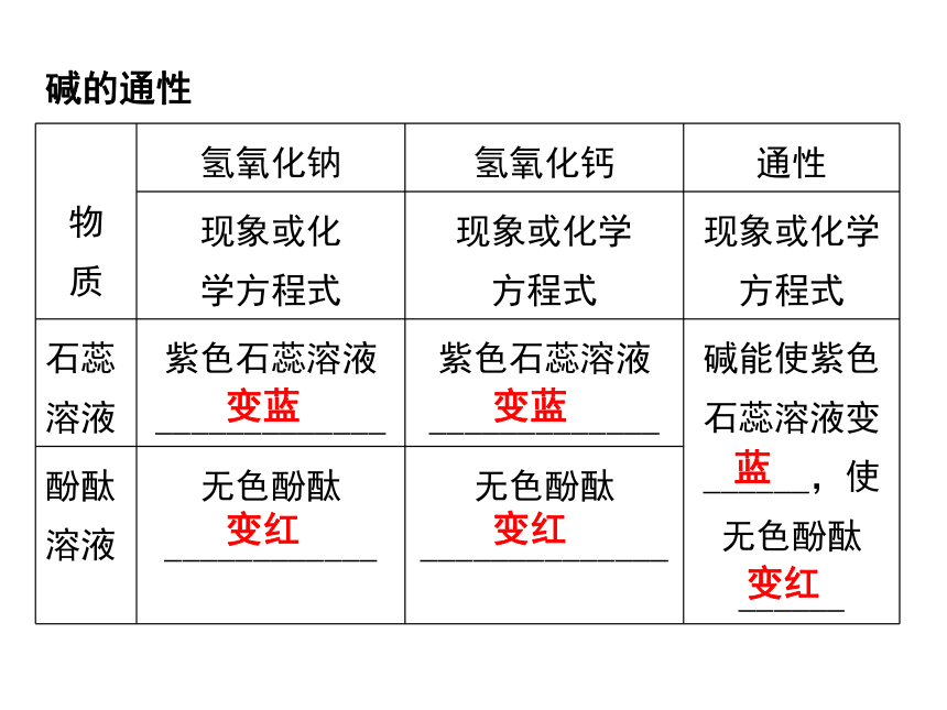 实验活动6酸、碱的化学性质 课件（21张ppt）