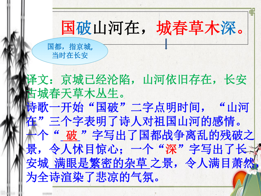 25《诗词五首—春望》课件（共19张PPT）