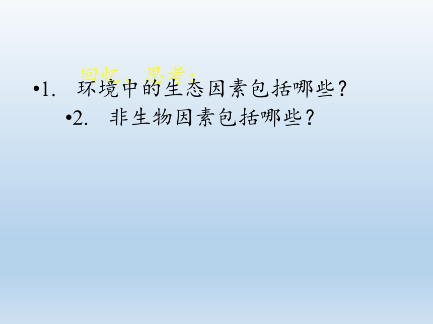 北师大版生物八年级下册 8.23.1 生物的生存依赖一定的环境  课件(共28张PPT)