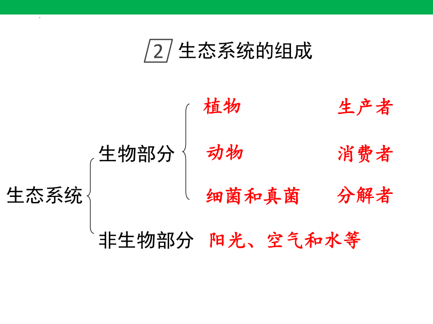 1.2.2生物与环境组成生态系统课件(共23张PPT)2023-2024学年人教版生物七年级上册