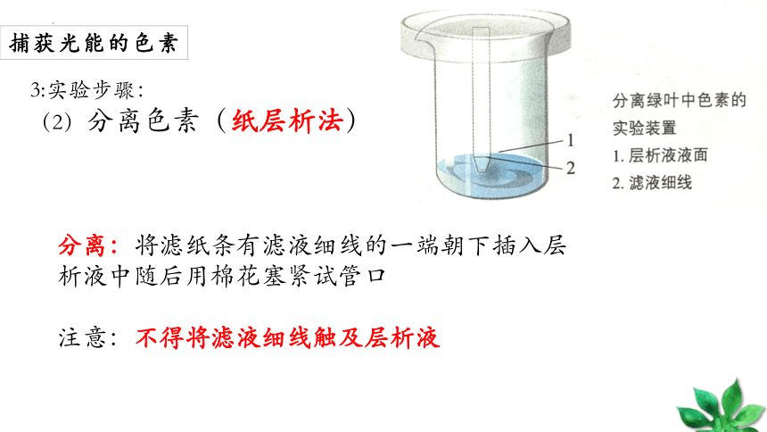 必修1 5.4光合作用与能量转化课件（共50张ppt）生物人教版（2019）