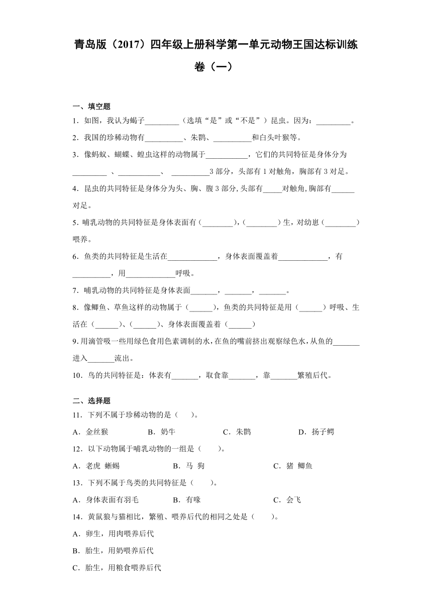 青岛版（2017）四年级上册科学第一单元动物王国达标训练卷（一）含答案